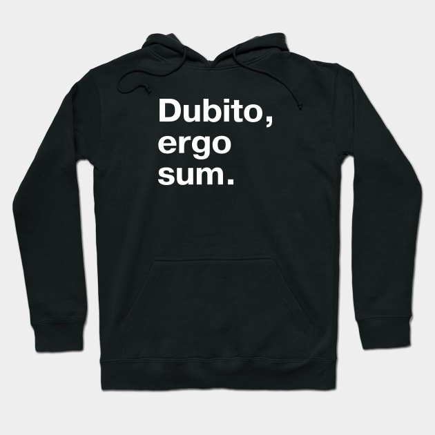 "Dubito, ergo sum." in plain white letters - I doubt, therefore I am (the king/queen of sarcasm) Hoodie by TheBestWords